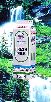 Fresh milk